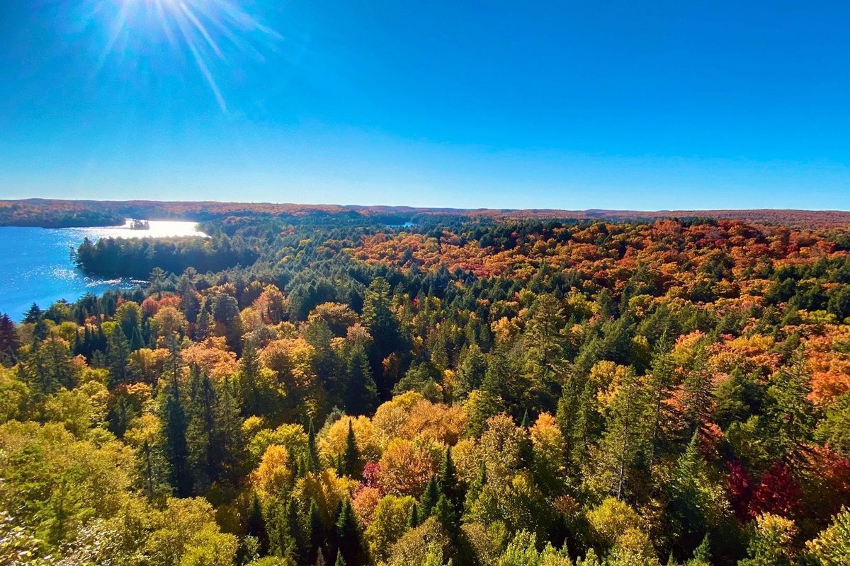 Fall colours in Algonquin Park